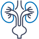 Nephrology